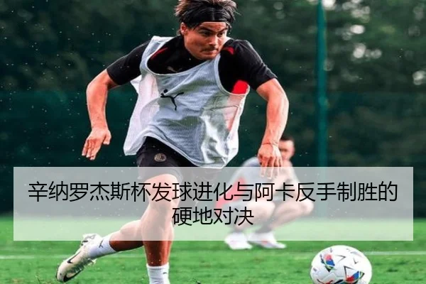 xin-na-luo-jie-si-bei-fa-qiu-jin-hua-yu-a-ka-fan-shou-zhi-sheng-de-ying-di-dui-jue-2-205.jpg