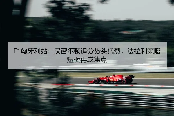 xiong-ya-li-zhan-han-mi-er-dun-zhui-fen-shi-tou-meng-lie-fa-la-li-ce-lve-duan-ban-zai-cheng-jiao-dian-2-497.jpg