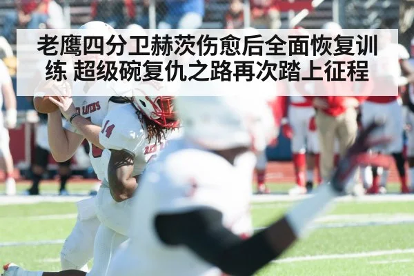 老鹰四分卫赫茨伤愈后全面恢复训练 超级碗复仇之路再次踏上征程